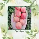 325 Semillas Orgánicas De Tomate Cherry Rosado