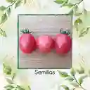 1.300 Semillas Orgánicas De Tomate Cherry Rosado