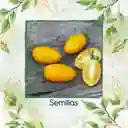 1.300 Semillas Orgánicas De Tomate Cherry Uva Amarillo