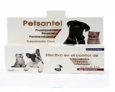 Petsantel X 5 Ml