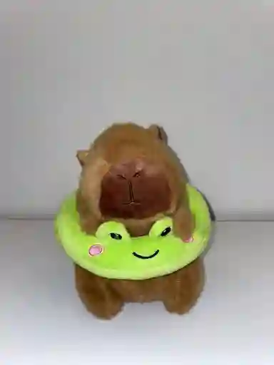 Capibara Flotador