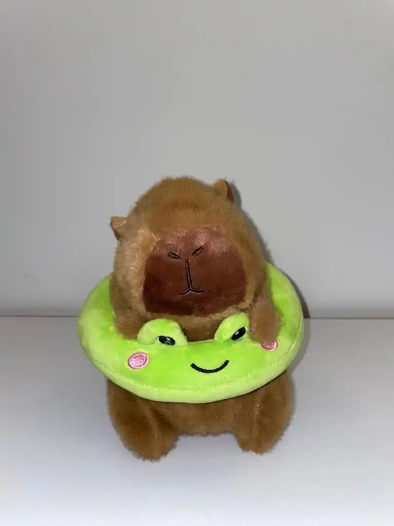 Capibara Flotador