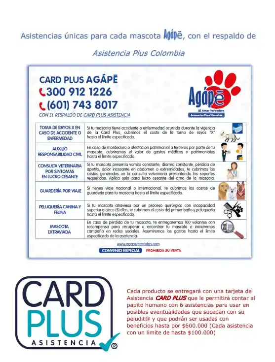 Cama Gamma Line Talla Xl (incluye Seguro Medico)