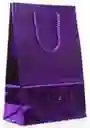 Bolsas De Regalo Holografica 20x13
