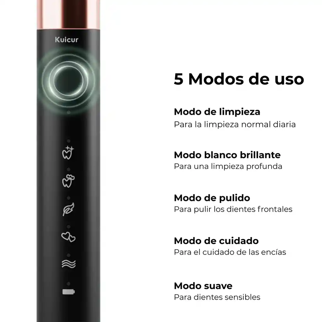 Cepillo Eléctrico Negro Con 10 Repuestos Y Estuche