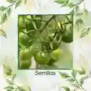 325 Semillas Orgánicas De Tomate Cherry Cebra Verde