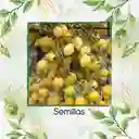 17 Semillas Orgánicas De Tomate Cremoso Blanco