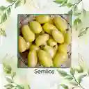 33 Semillas Orgánicas De Tomate Cremoso Blanco