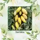 33 Semillas Orgánicas De Tomate Cremoso Blanco