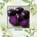 33 Semillas Orgánicas De Tomate Morado