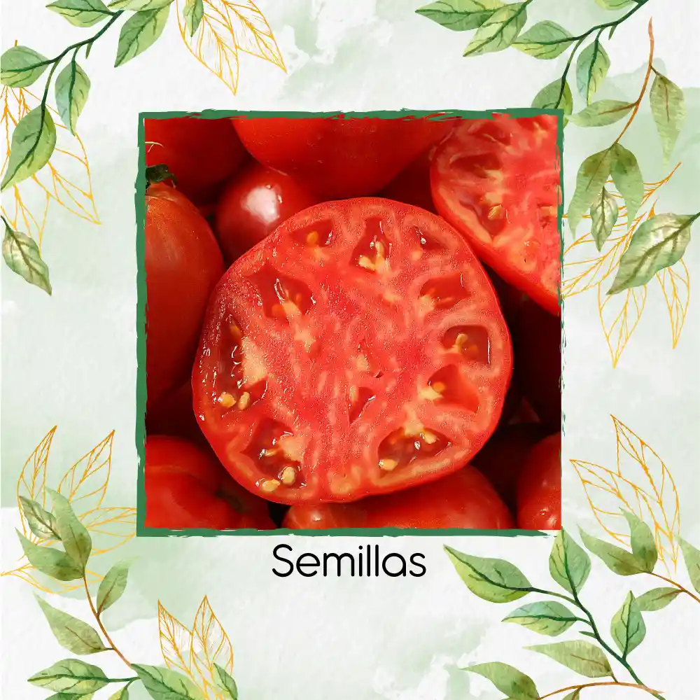17 Semillas Orgánicas De Tomate Sandía