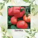 17 Semillas Orgánicas De Tomate Sandía