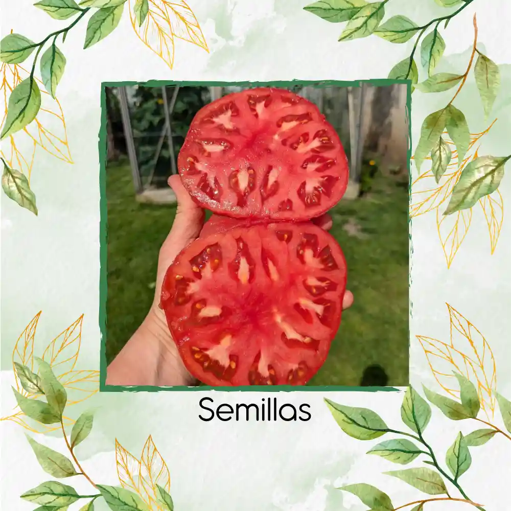 33 Semillas Orgánicas De Tomate Sandía