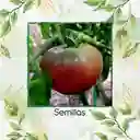 33 Semillas Orgánicas De Tomate Tula Bicolor Negro