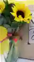 Ramo Girasoles, Collar De Corazón, En Caja De Regalo