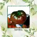 130 Semillas Orgánicas De Tomate Tula Bicolor Negro