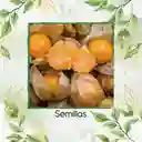 400 Semillas Orgánicas De Tomatillo Mexicano Naranja