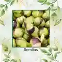 1.600 Semillas Orgánicas De Tomatillo Mexicano Morado