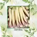 100 Semillas Orgánicas De Zanahoria Lunar Blanca