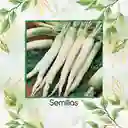 200 Semillas Orgánicas De Zanahoria Lunar Blanca