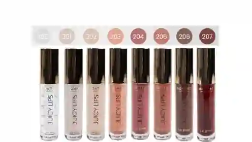 Lip Gloss Tono 201 Labios Juicy Lips Montoc