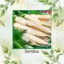 800 Semillas Orgánicas De Zanahoria Lunar Blanca