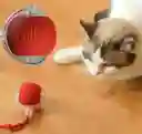 Pelota Juguete Mascotas Recargable Con Luces