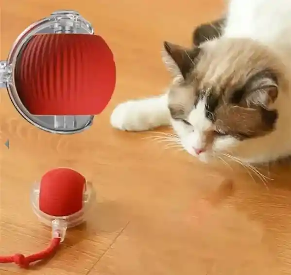 Pelota Juguete Mascotas Recargable Con Luces