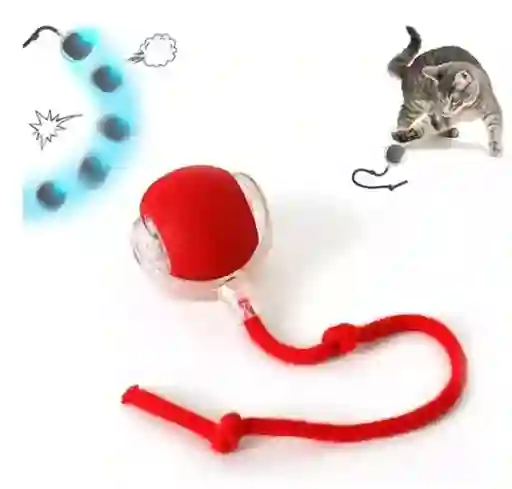 Pelota Juguete Mascotas Recargable Con Luces