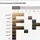 Igora Zero Amm (sin Amoniaco) 7-1 Rubio Medio Ceniza 60 Ml