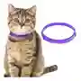 Collar Para Gato Con Feromonas Lavanda Relajante