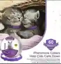 Collar Para Gato Con Feromonas Lavanda Relajante