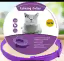 Collar Para Gato Con Feromonas Lavanda Relajante