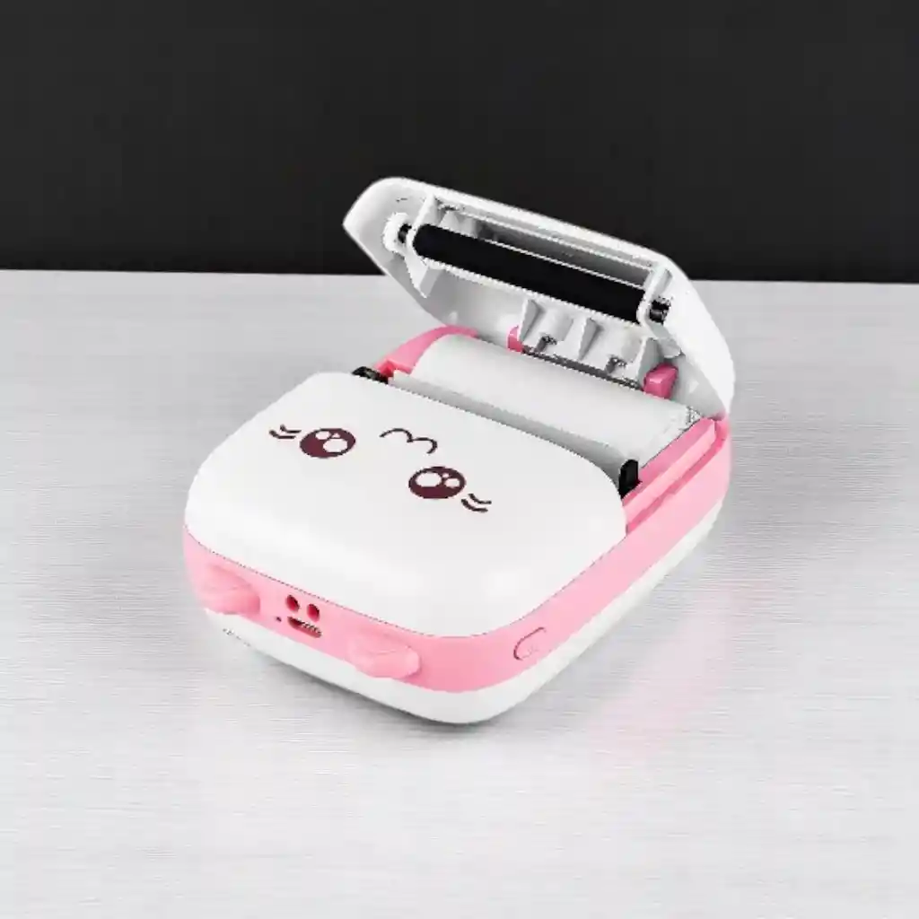 Impresora Portatil Rollo 5.5cms