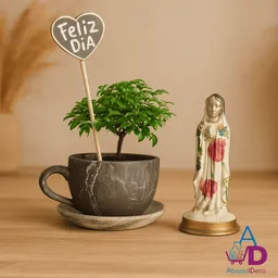 🌱 Bonsái Decorativo + Imagen Virgen