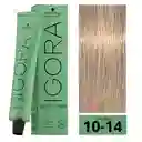 Igora Zero Amm (sin Amoniaco) 10-14 Rubio Platino Cenizo Beige 60 Ml