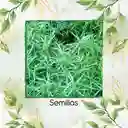 1.000 Semillas Orgánicas De Estragón Frances