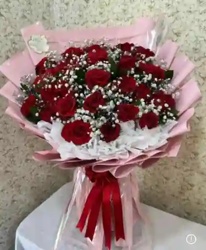 Ramo 24 Rosas Rojas Abierto Con Gipsofila