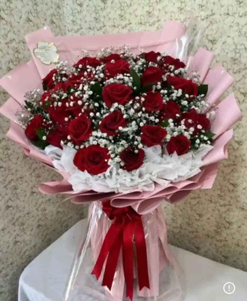 Ramo 24 Rosas Rojas Abierto Con Gipsofila