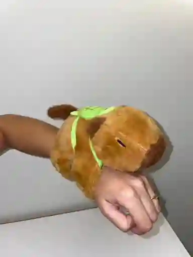 Capibara Manilla