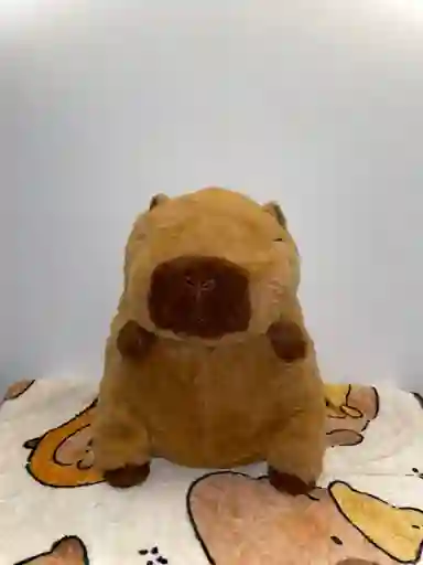 Capibara Con Cobija