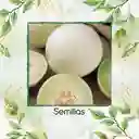 160 Semillas Orgánicas De Melón Blanco Pulpa Verde