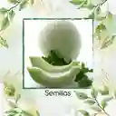 160 Semillas Orgánicas De Melón Blanco Pulpa Verde