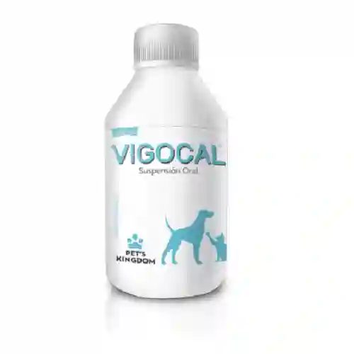 Vitamina Pets Kingdom - Vigocal Frasco X 120 Ml