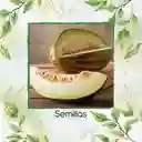 1.600 Semillas Orgánicas De Melón Piña