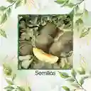 1.600 Semillas Orgánicas De Melón Piña