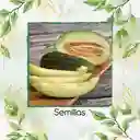 1.600 Semillas Orgánicas De Melón Piña