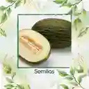 400 Semillas Orgánicas De Melón Valencia Late