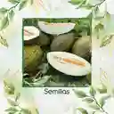 400 Semillas Orgánicas De Melón Valencia Late
