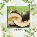 1.600 Semillas Orgánicas De Melón Valencia Late